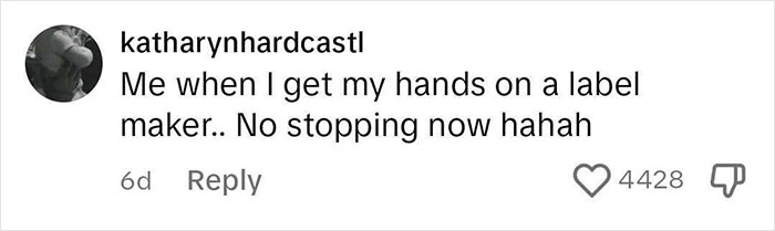 Comentario del usuario katharynhardcastl sobre el uso de una rotuladora con entusiasmo, relacionado con las notas de las reglas de Airbnb.