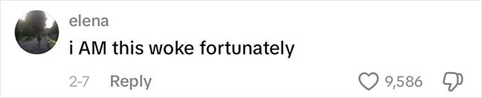 Comentario de la usuaria Elena diciendo 